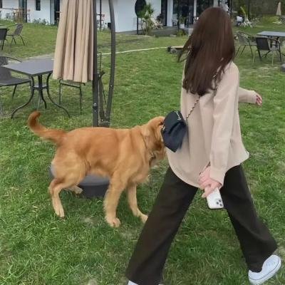家庭经济学第一季